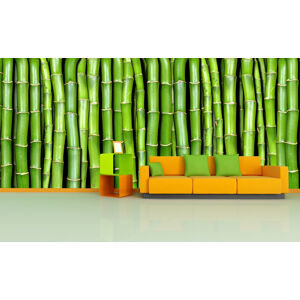 IMPAR Fototapeta na zeď Zelený bambus (Rozměr : 126 x 63)