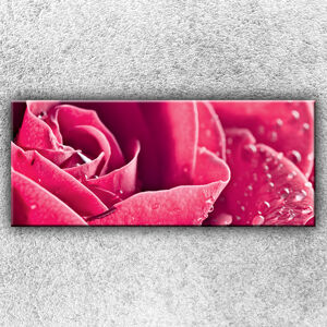 IMPAR Fotografie na plátno Růžová růže 2 120x50 cm