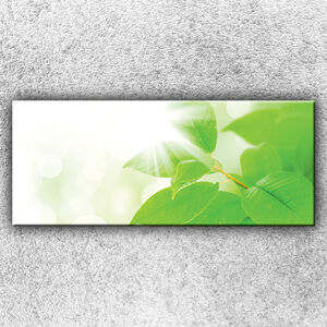 IMPAR Fotografie na plátno Zelené lístky 120x50 cm