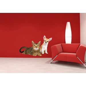 IMPAR Samolepka na zeď Pes a kočka (Velikost: 60 x 37 cm)