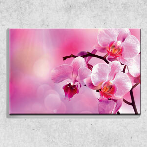 Foto na plátně Orchidej 90x60 cm
