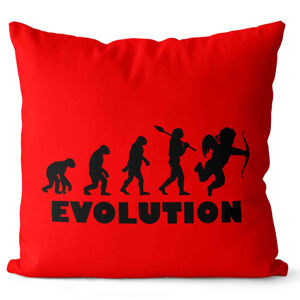 Polštářek Evolution láska (Velikost: 40 x 40 cm)