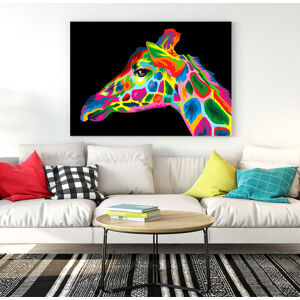 Obraz Giraffe (Rozměr obrazu: 120x80)