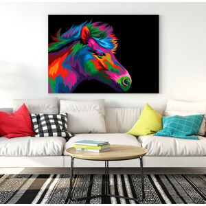 Obraz Horse (Rozměr obrazu: 120x80)