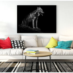 Obraz Wolf (Rozměr obrazu: 120x80)