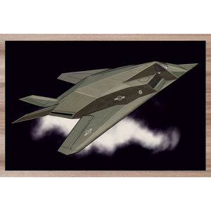 Prostírání F-117 Nighthawk