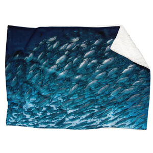 IMPAR Fleecová deka Hejno ryb 150x120 cm (Rozměr : 200 x 140 cm, Podšití beránkem: ANO)