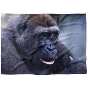 IMPAR Fleecová deka Gorila 150x120 cm (Rozměr : 150 x 120 cm, Podšití beránkem: NE)
