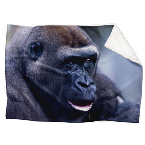 IMPAR Fleecová deka Gorila 150x120 cm (Rozměr : 150 x 120 cm, Podšití beránkem: ANO)