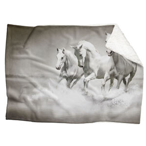IMPAR Fleecová deka Běžící koně 150x120 cm (Rozměr : 150 x 120 cm, Podšití beránkem: ANO)