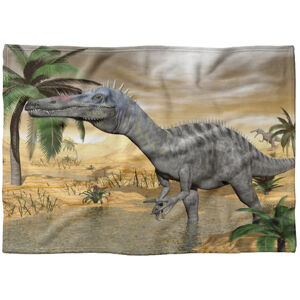 IMPAR Fleecová deka Dinosaurus 150x120 cm (Rozměr : 200 x 140 cm, Podšití beránkem: NE)