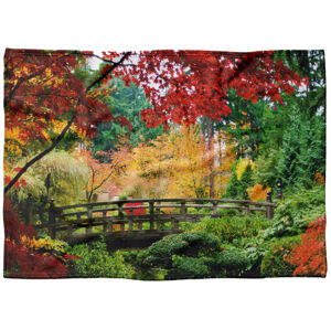 IMPAR Fleecová deka Podzimní park 150x120 cm (Rozměr : 200 x 140 cm, Podšití beránkem: NE)