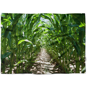 Deka Kukuřičné pole (Rozměr : 200 x 140 cm, Podšití beránkem: NE)