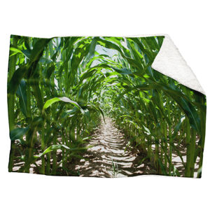 Deka Kukuřičné pole (Rozměr : 200 x 140 cm, Podšití beránkem: ANO)