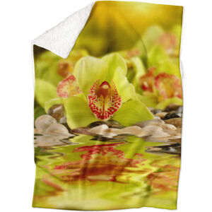 Deka Zelená orchidej (Rozměr : 150 x 120 cm, Podšití beránkem: ANO)
