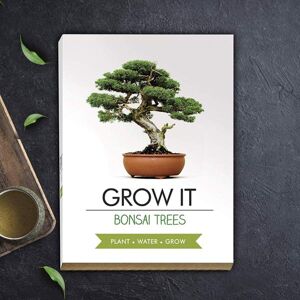 Grow it - Bonsai (mírně poškozená krabice)