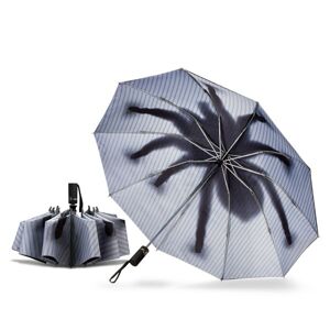 Obrácený deštník pavouk Taranturella