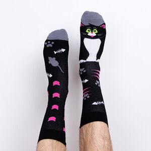 Ponožky kocour Catsby